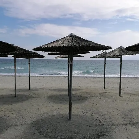 Don Bazilio Seahouse レプトカリヤ